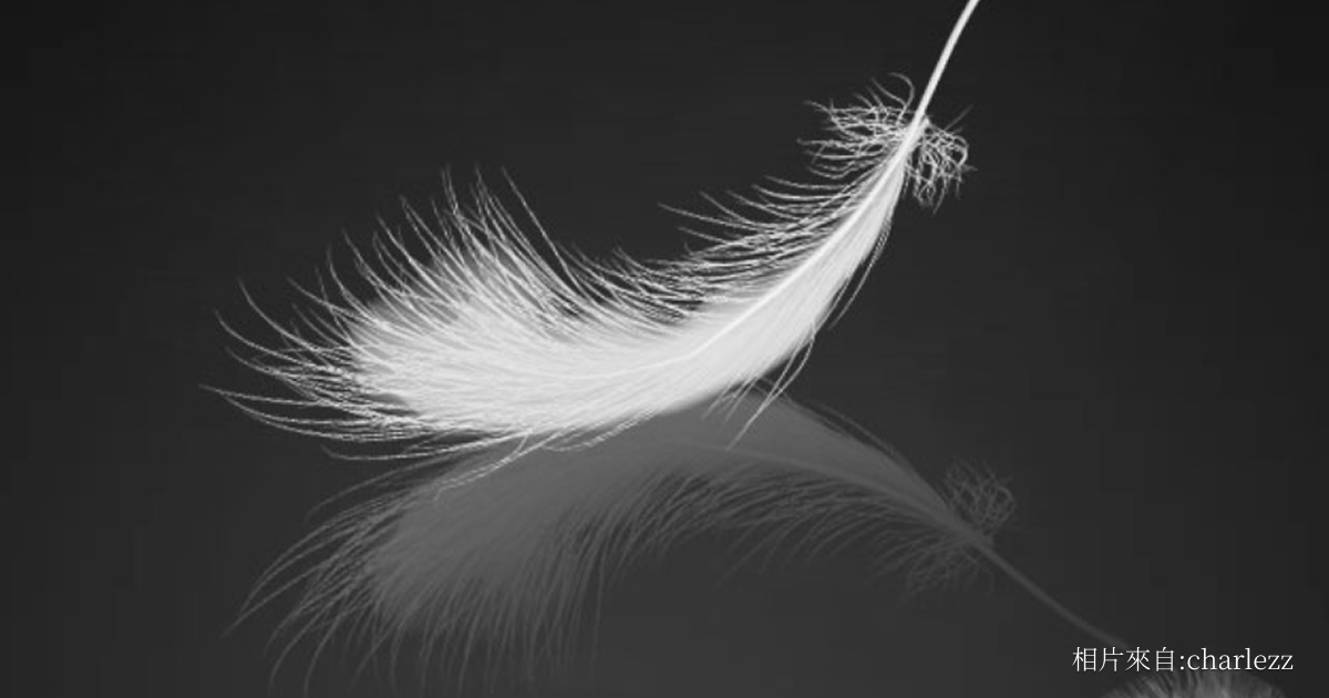 第二百一十九集：平衡與秩序（六）