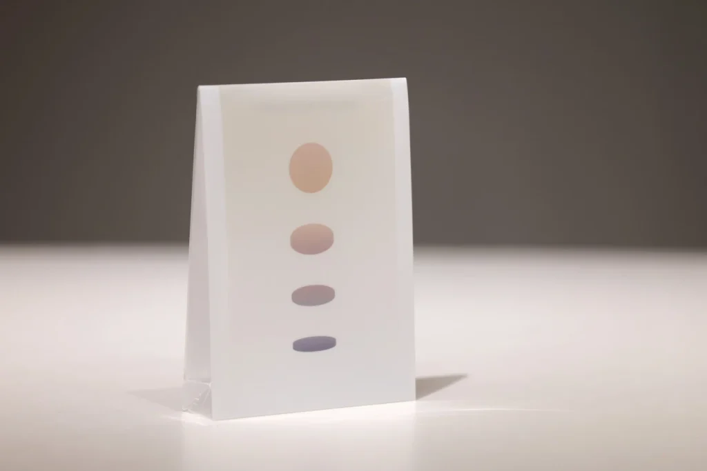 展覽限定紀念品：A6豎式纏繩塑膠文件袋。